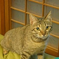 20110317