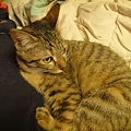 20110501
