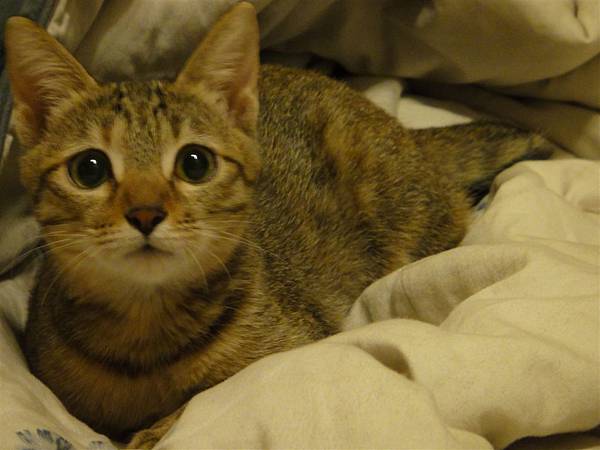 20101206