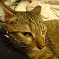 20110501