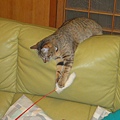20110317