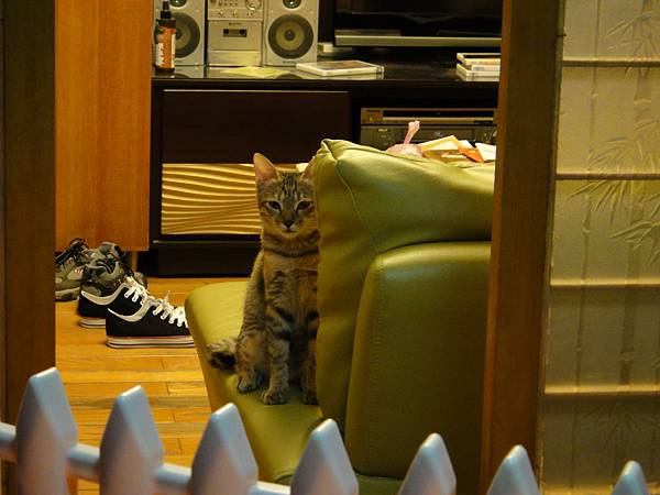 20101206注視