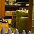 20101206注視