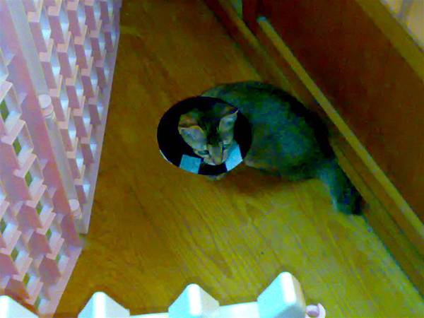 20101014013.jpg