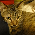 20110317