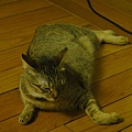 20110501