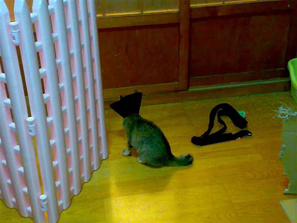 20101014008.jpg