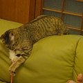 20110317