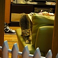 20101206伸懶腰