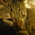 20110501