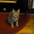 20101219
