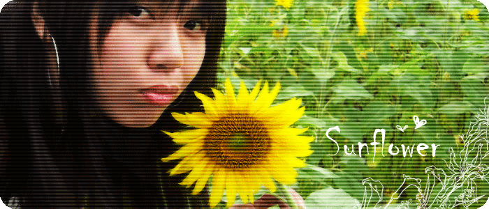 sunflower.gif