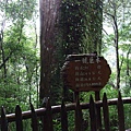 2009-9-26-拉拉山 044.jpg