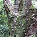 2009-9-26-拉拉山 051.jpg