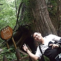 2009-9-26-拉拉山 056.jpg