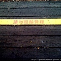 DSC00917.JPG