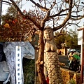 DSC00883.JPG