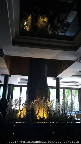 P_20151125_124932.jpg P_20151125_124932.jpg