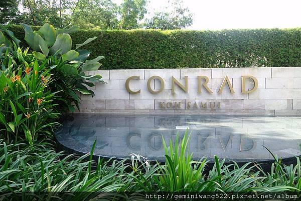 DSC01816.JPG DSC01816.JPG