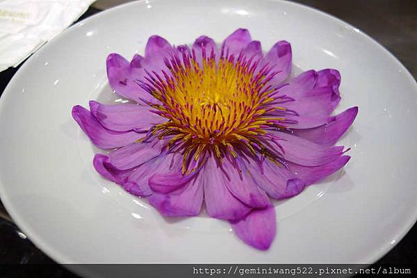 DSC07612.JPG DSC07612.JPG