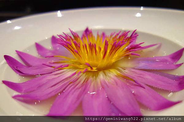 DSC07616.JPG DSC07616.JPG