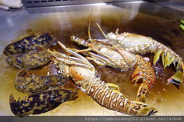 DSC07649.JPG DSC07649.JPG