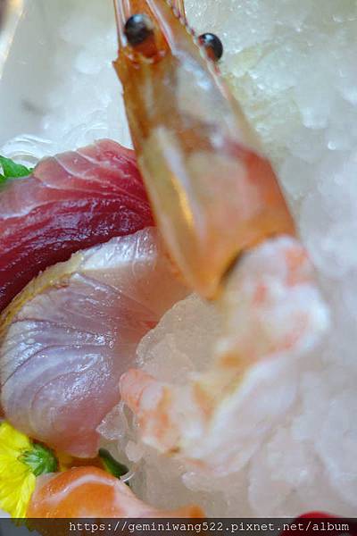 DSC07882.JPG DSC07882.JPG