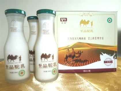 駱駝奶 駱駝奶