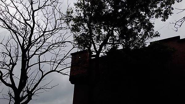 a1e61e419ef9add423e1851f2d719d5c