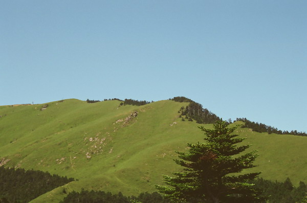 00440027.JPG