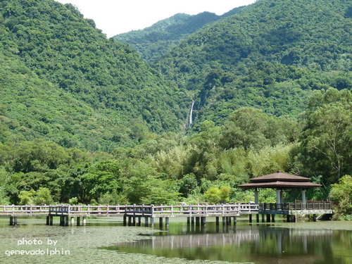 羅山大魚池
