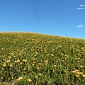 花蓮六十石山