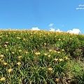 花蓮六十石山