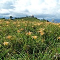 花蓮六十石山