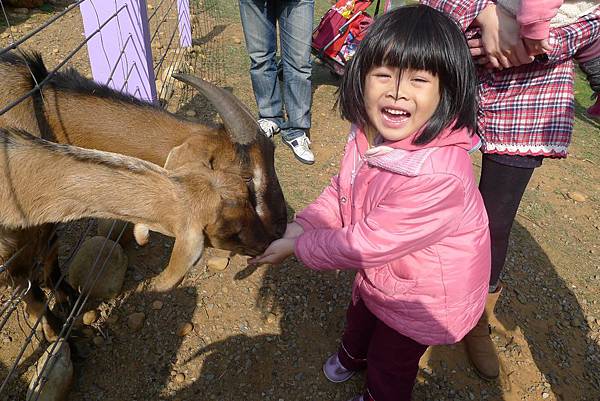 PhotoCap_114.jpg PhotoCap_114.jpg