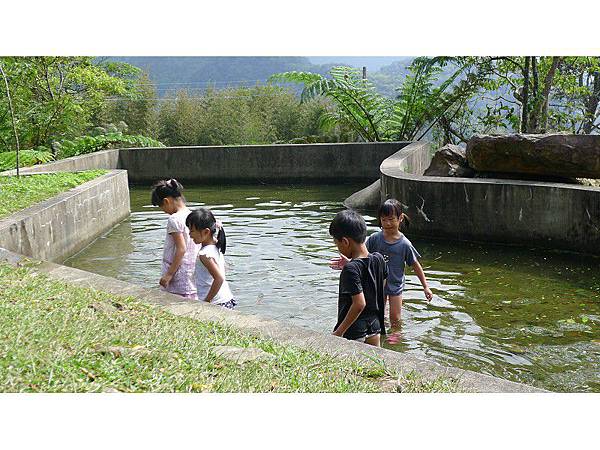 PhotoCap_005.jpg PhotoCap_005.jpg