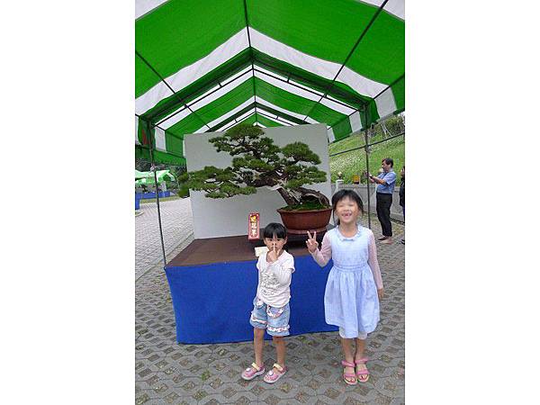PhotoCap_028.jpg PhotoCap_028.jpg