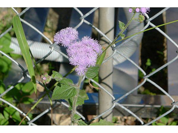 PhotoCap_078.jpg PhotoCap_078.jpg