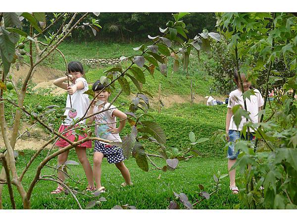 PhotoCap_015.jpg PhotoCap_015.jpg