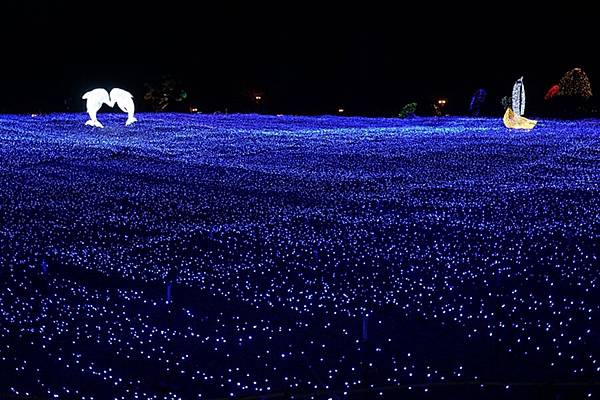 [雪莉丸出遊]2017.3月韓國京畿道加平-夜晚好漂亮的晨靜