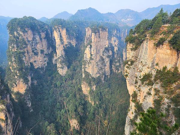 [雪莉丸出遊]2023.12月一個人旅行之湖南長沙張家界順德