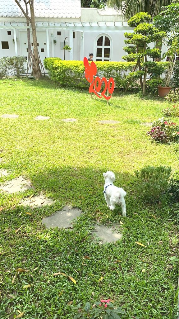 [食記] 我們的家休閒農場