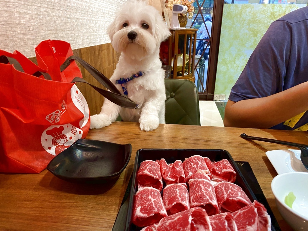 [食記] 台北大毛屋涮涮鍋 寵物友善餐廳.有寵物餐