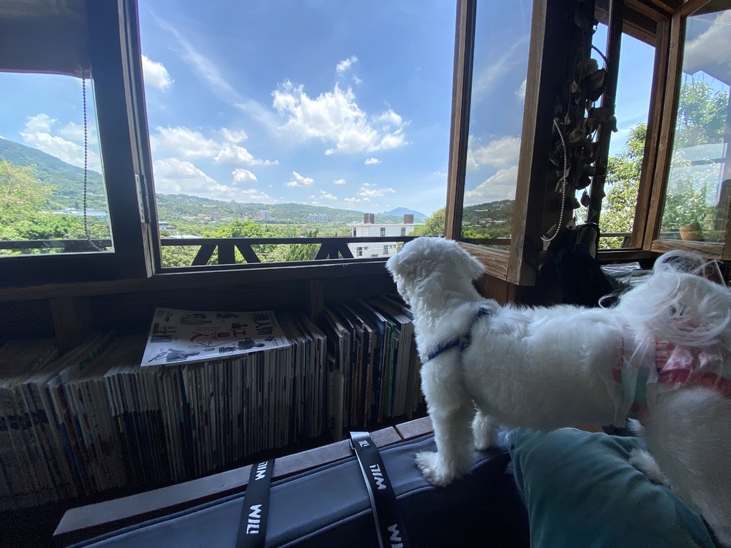 [食記] 淡水-石牆仔內咖啡館.山林間咖啡館