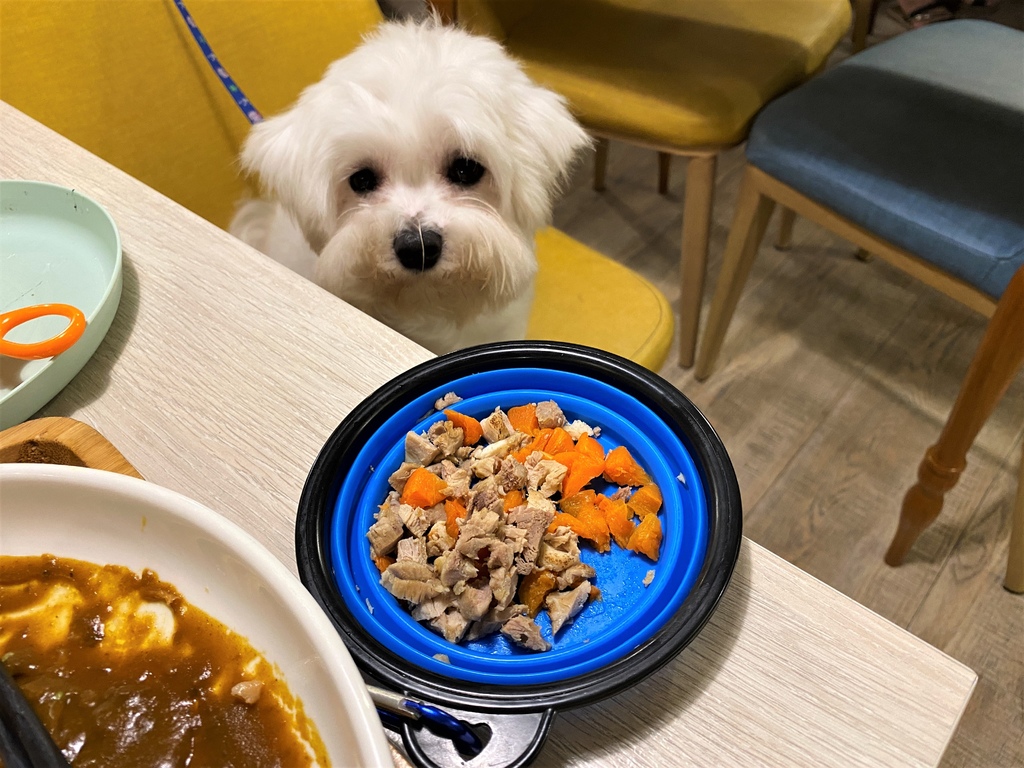 Fw: [食記] 新竹市-私嚐の吃飯 好吃的咖喱飯