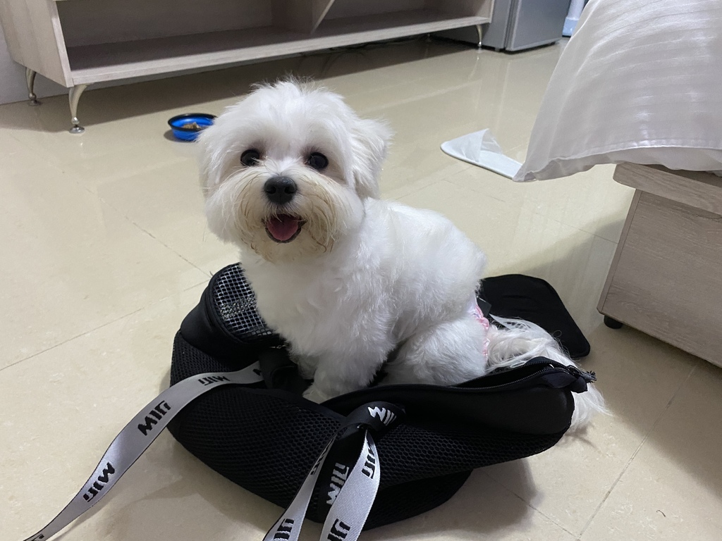 [心得] 苗栗南庄-麥克尼景觀莊園.親子/寵物友善