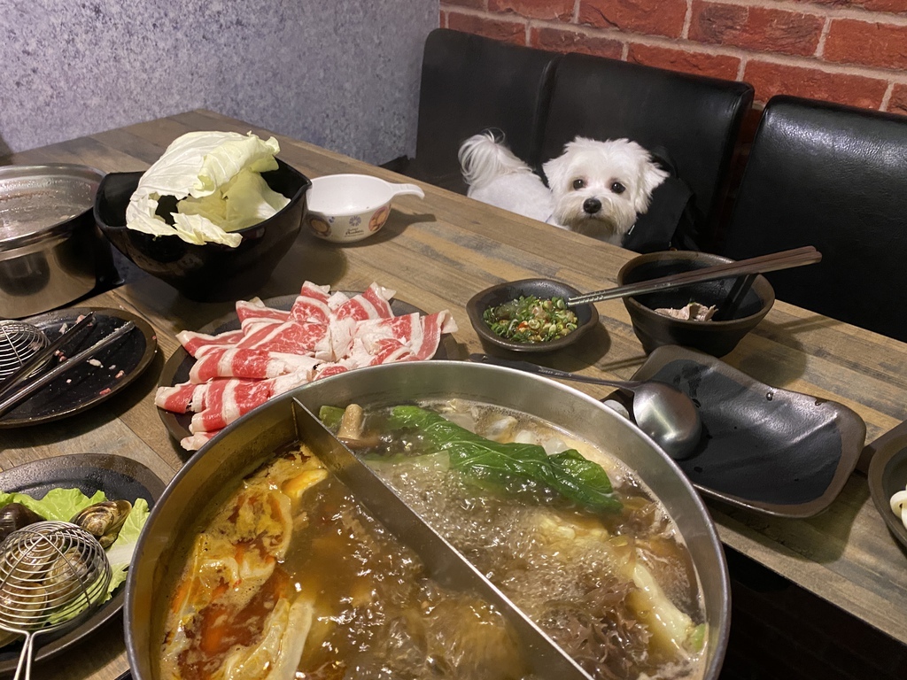 [食記] 桃園-金鍋盃.寵物友善火鍋店.