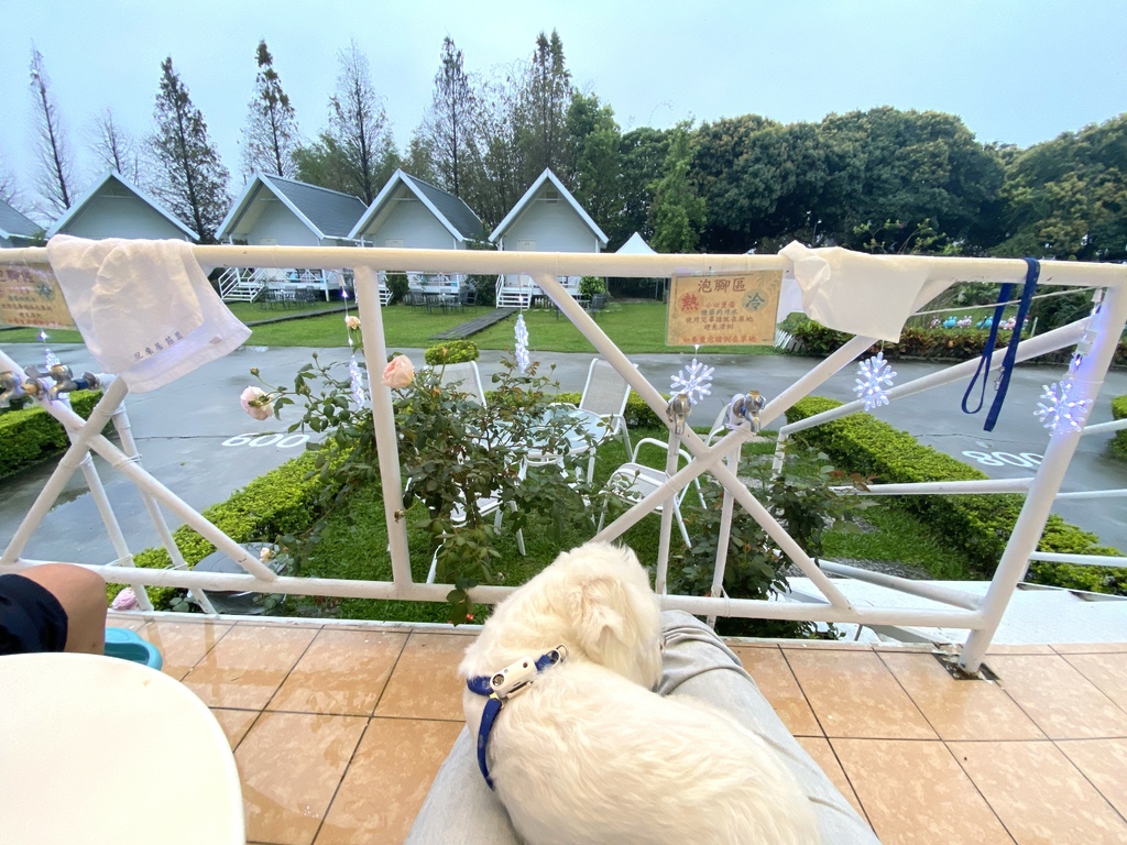 【嘉義民雄－悅來居莊園(民宿)】實景比照片還美、有大片草皮及