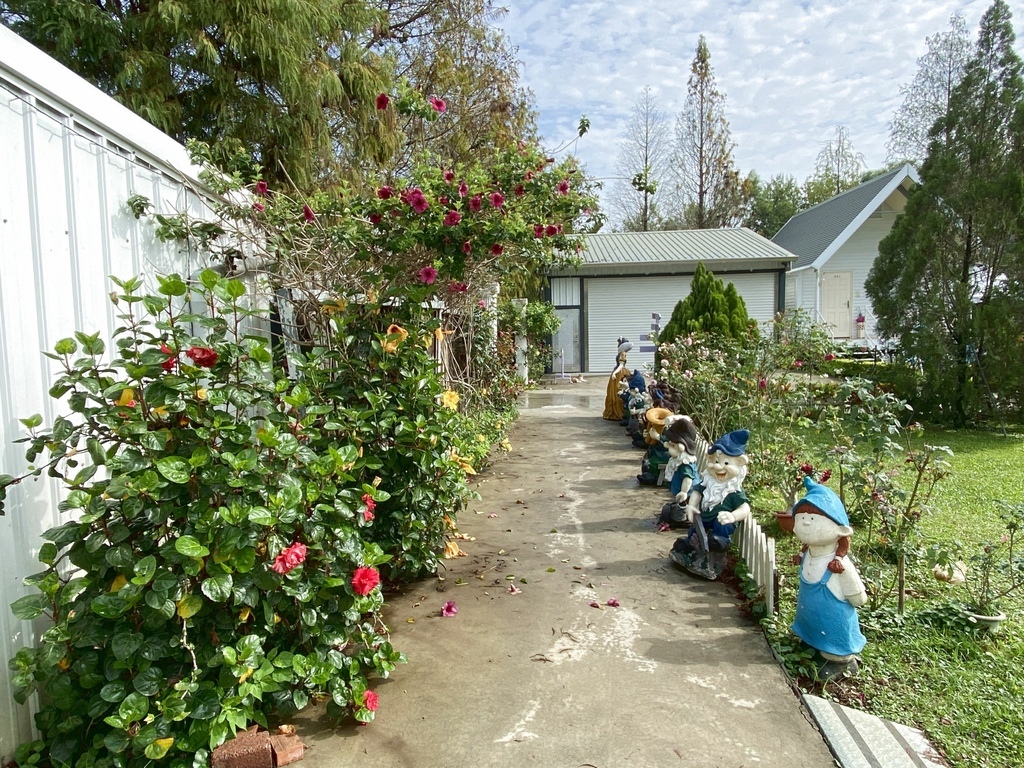 【嘉義民雄－悅來居莊園(民宿)】實景比照片還美、有大片草皮及