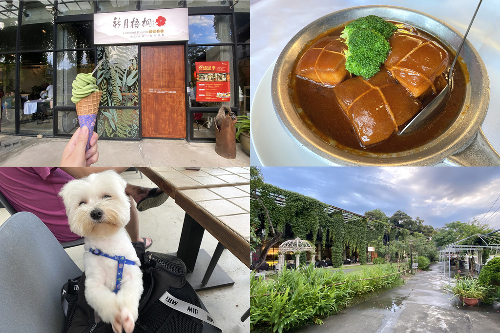 [食記] 苗栗－新月梧桐／寵物友善餐廳